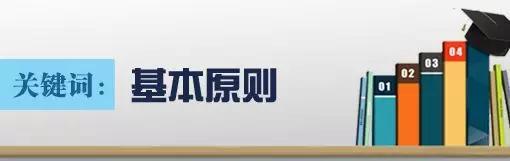 为确保课程修订达到预期目标，修订工作遵循了哪些基本原则？